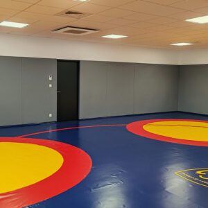 épaisseur 2.5 cm - en simili cuir